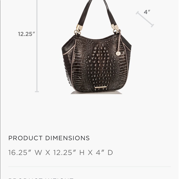 Brahmin - Picture 2 of 12